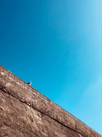 Low angle view of an animal against clear blue sky