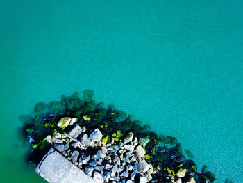 High angle view of rocks on sea shore