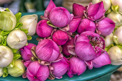 Close-up of pink flowers for sale in market