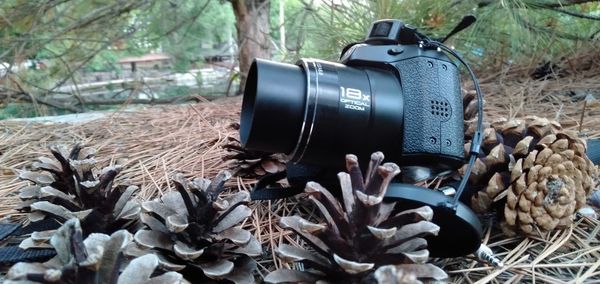 Close-up of camera and trees on field