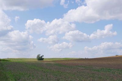 Scenic view of agricultural field against sky