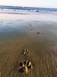 High angle view of footprints on beach