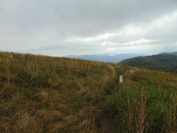 Scenic view of field against sky