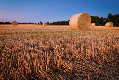 Hay bales on field against sky