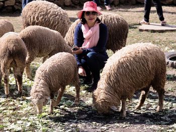 Young woman with sheep in farm