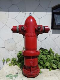 Close-up of red fire hydrant