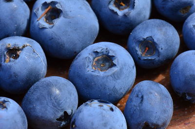 Blueberries ripe large bog berry on a wooden background