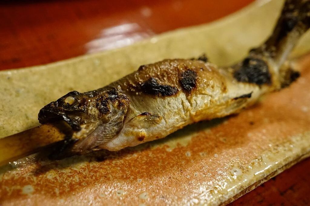 animal themes, indoors, close-up, one animal, wood - material, high angle view, selective focus, animals in the wild, food and drink, no people, food, focus on foreground, wildlife, day, seafood, brown, still life, table, reptile, animal shell