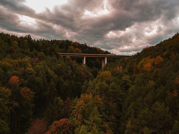 Bridge over trees in forest against sky