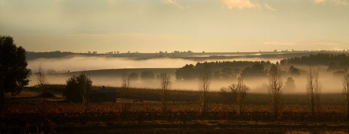 Scenic view of field against sky during sunset