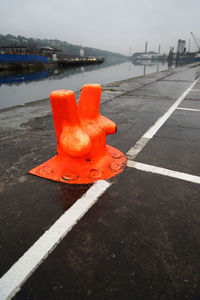 Orange flower on road in city