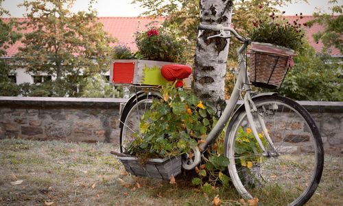 Bicycle parked on road