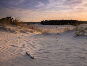 Scenic view of snow covered land during sunset