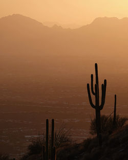 Saguaro silhouettes stand out against yellow, orange, and mountains during an iconic arizona sunset