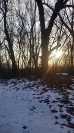 Bare trees on snow covered land during sunset