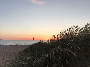 Scenic view of sea against sky during sunset