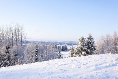 Snow covered landscape against clear sky