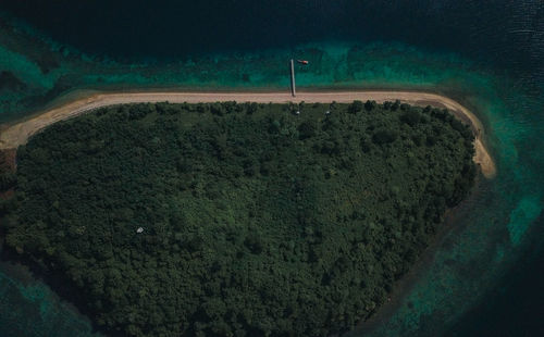 High angle view of road amidst trees