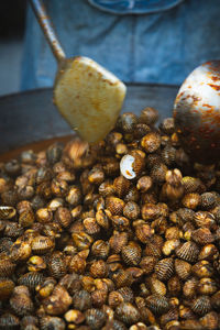 Cooking the cooked blood cockles, close-up.