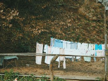 Clothes drying on chair against trees