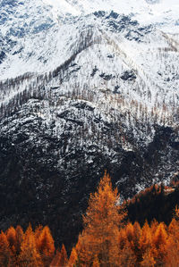 Scenic view of snow covered mountain during autumn