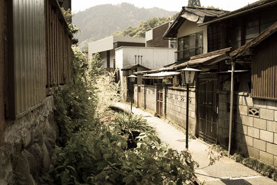 Houses amidst plants and buildings in city