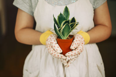 Midsection of woman holding white flower