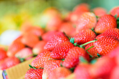 Close-up of strawberries