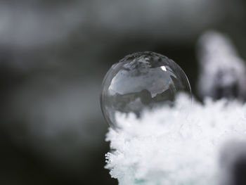 Close-up of bubbles on crystal ball