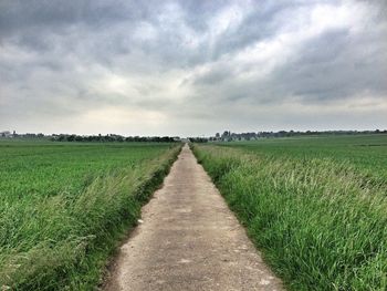 Narrow pathway along landscape