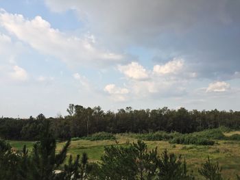 Scenic view of agricultural field against sky