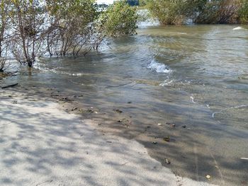 water