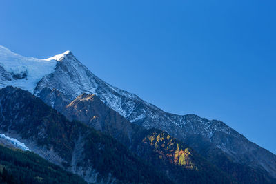 View of snowcapped mountain range with a forest below