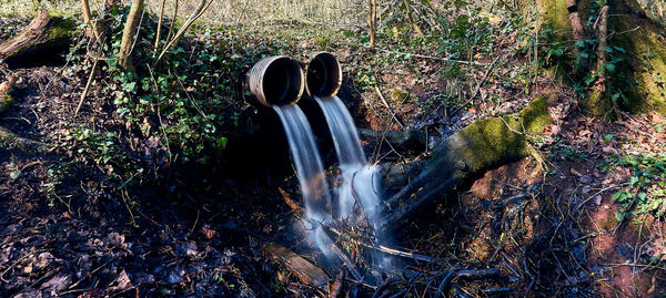 High angle view of waterfall in forest