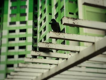 Close-up view of railings