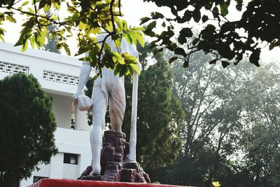 Low angle view of statue against trees