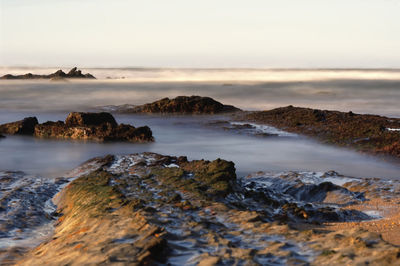 sea