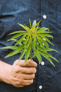 Midsection of woman holding plant