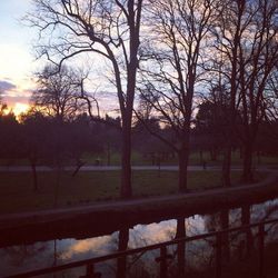 Bare trees on landscape at sunset