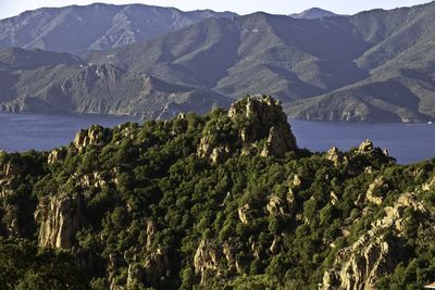 High angle view of trees by sea against mountains