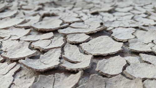 Full frame shot of cracked land