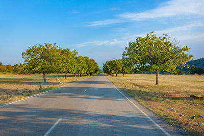 Empty road amidst trees on field against sky