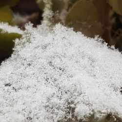 Close-up of frozen water