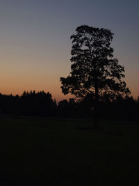 Silhouette of trees on field at sunset