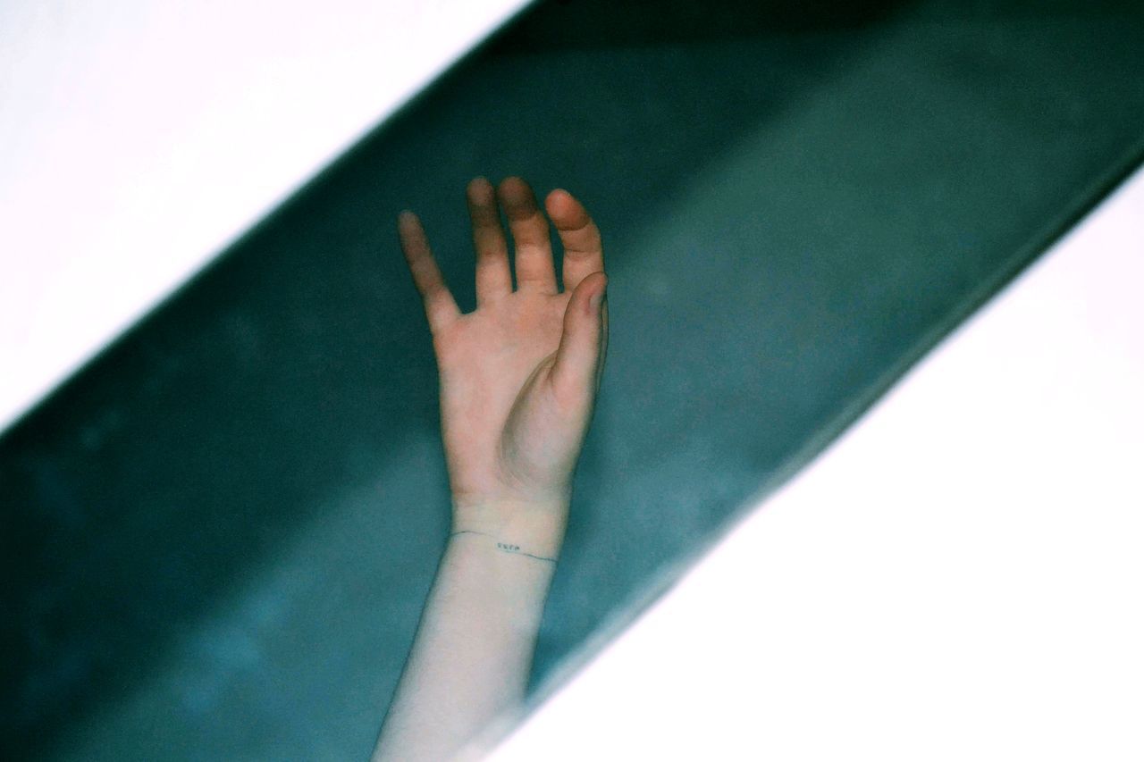 one person, hand, arm, finger, limb, human limb, green, indoors, adult, close-up, human leg