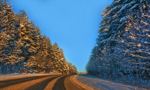 Road amidst trees against sky during winter