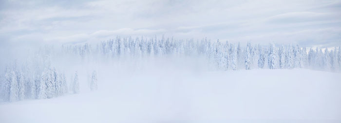 Scenic view of frozen landscape against sky