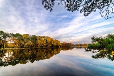 Reflection of trees in lake against sky