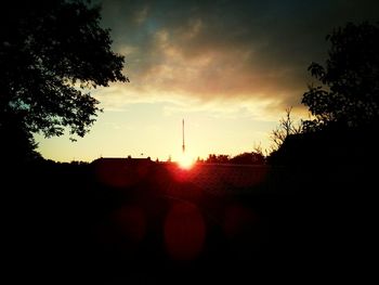 Silhouette of trees at sunset