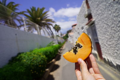 Close-up of hand holding orange